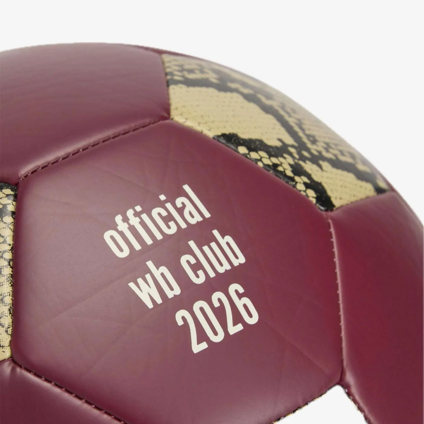 WB Football Ball - Image 4
