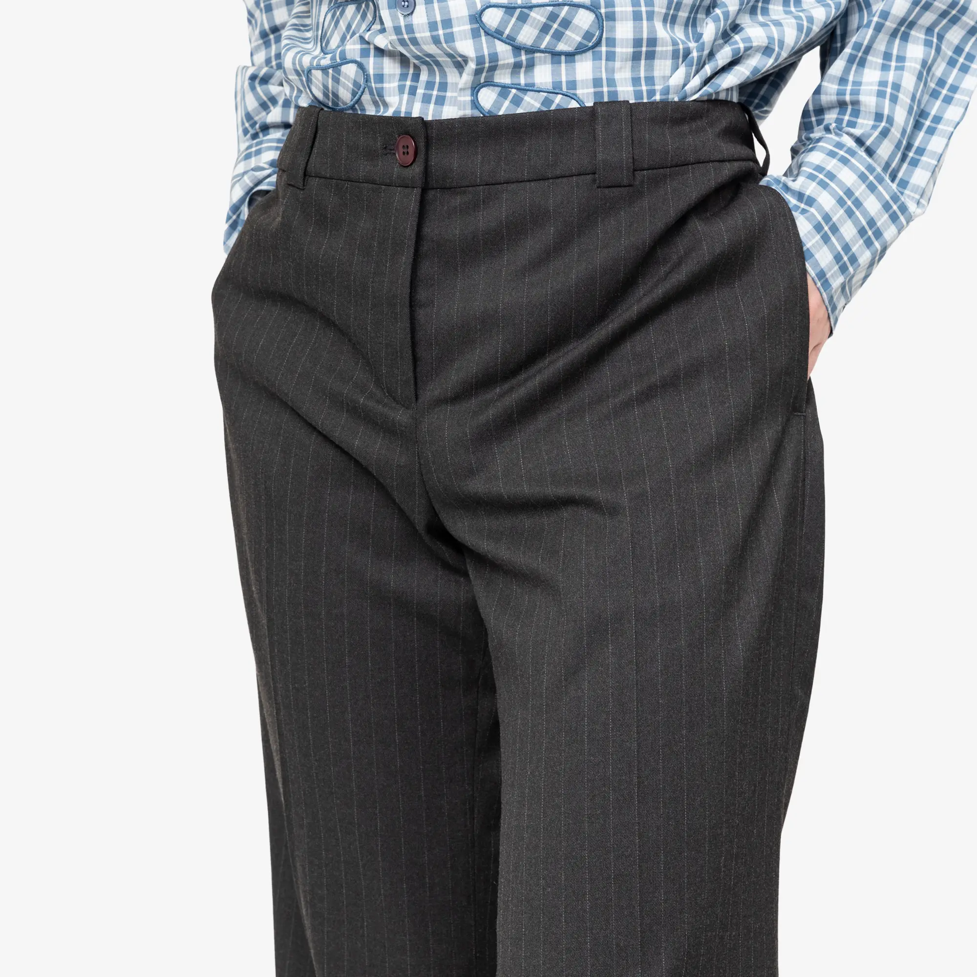 Petra Sharpei Pinstripe Suit Pants - Image 5